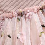 Baby Girl Pink Ribbed Long-Sleeve Bowknot Floral Embroidered Mesh Dress Perfect For Outings And Daily Wear