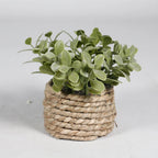Green Artificial Potted Plant 11cm Woven Artificial Plants Plastic Leaf Eucalyptus Grass Artificial Decorations Home Decor