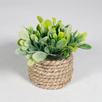 Green Artificial Potted Plant 11cm Woven Artificial Plants Plastic Leaf Eucalyptus Grass Artificial Decorations Home Decor