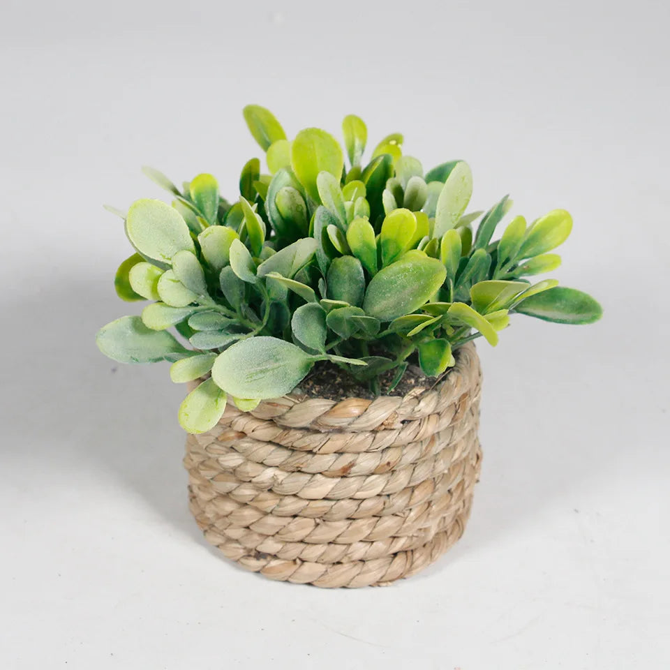 Green Artificial Potted Plant 11cm Woven Artificial Plants Plastic Leaf Eucalyptus Grass Artificial Decorations Home Decor