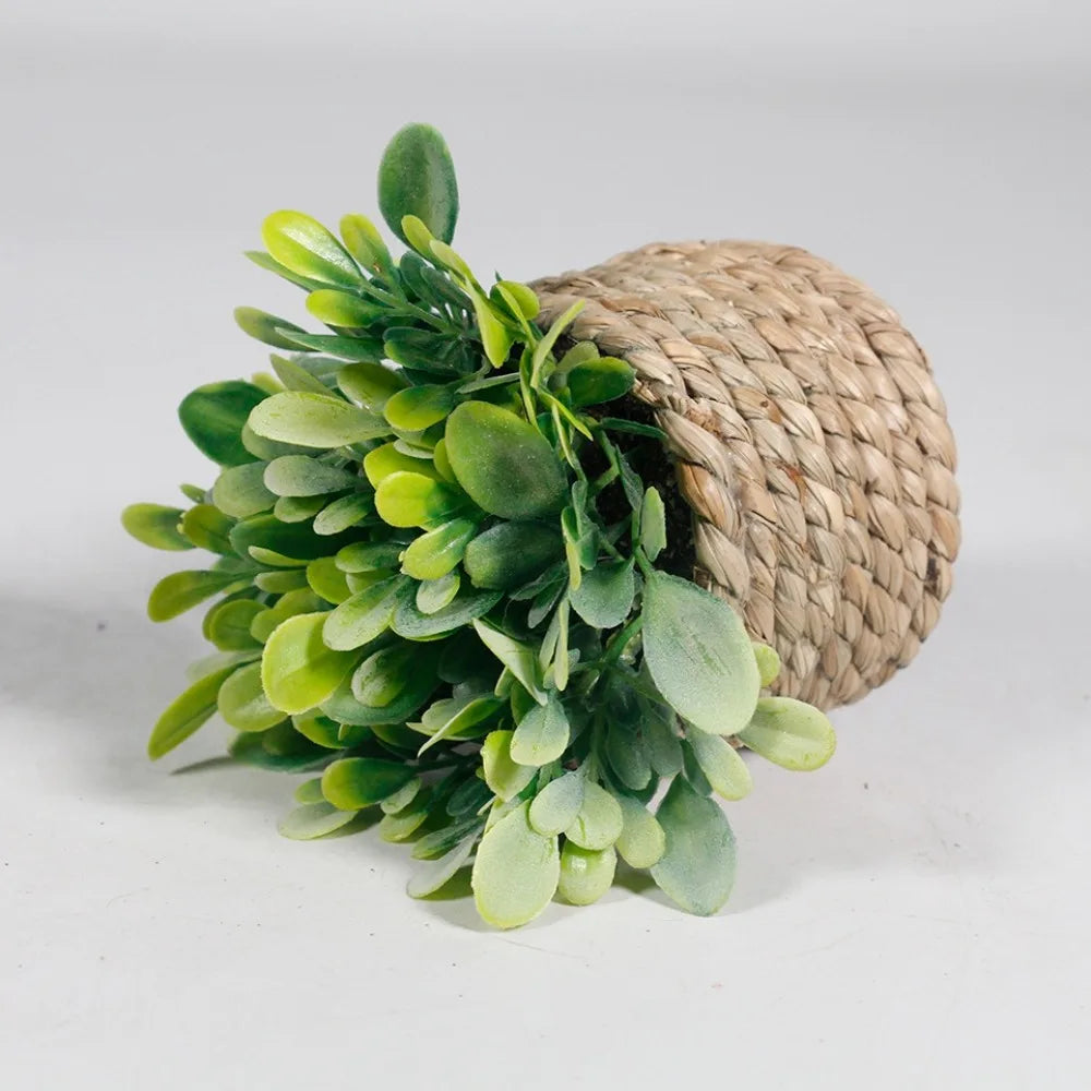 Green Artificial Potted Plant 11cm Woven Artificial Plants Plastic Leaf Eucalyptus Grass Artificial Decorations Home Decor