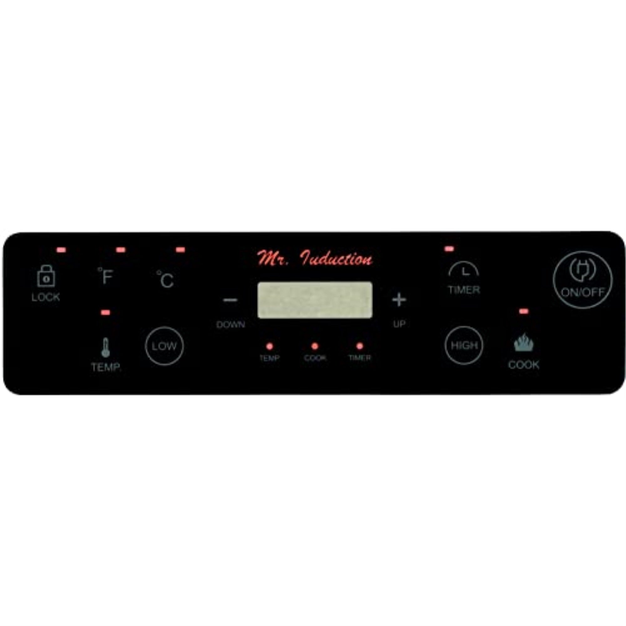 1300W Induction in Silver (Countertop)