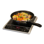 1300W Induction in Silver (Countertop)
