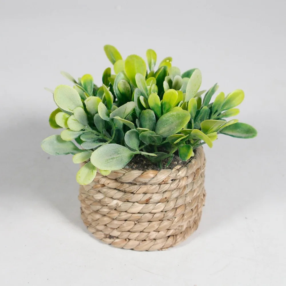 Green Artificial Potted Plant 11cm Woven Artificial Plants Plastic Leaf Eucalyptus Grass Artificial Decorations Home Decor