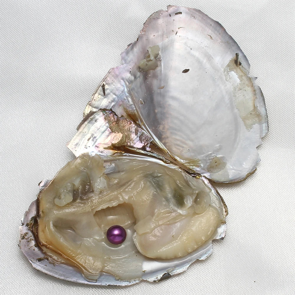 7-8MM AA+ Single Pearl Vacuum-pack Oyster Beautiful & Interesting Nature Gifts Cultivate High-quality Pearls 10PCs/Lot