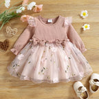 Baby Girl Pink Ribbed Long-Sleeve Bowknot Floral Embroidered Mesh Dress Perfect For Outings And Daily Wear