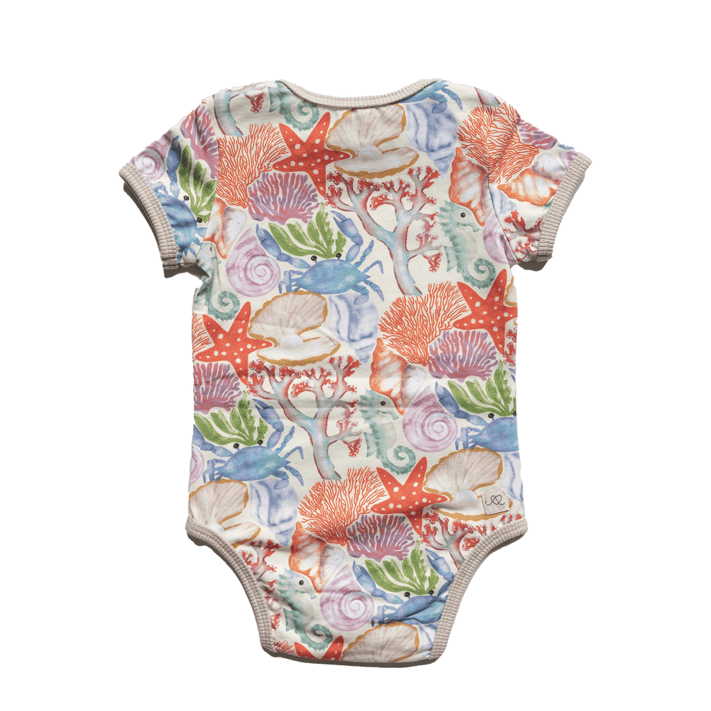 Wren baby body | Ocean Puzzle