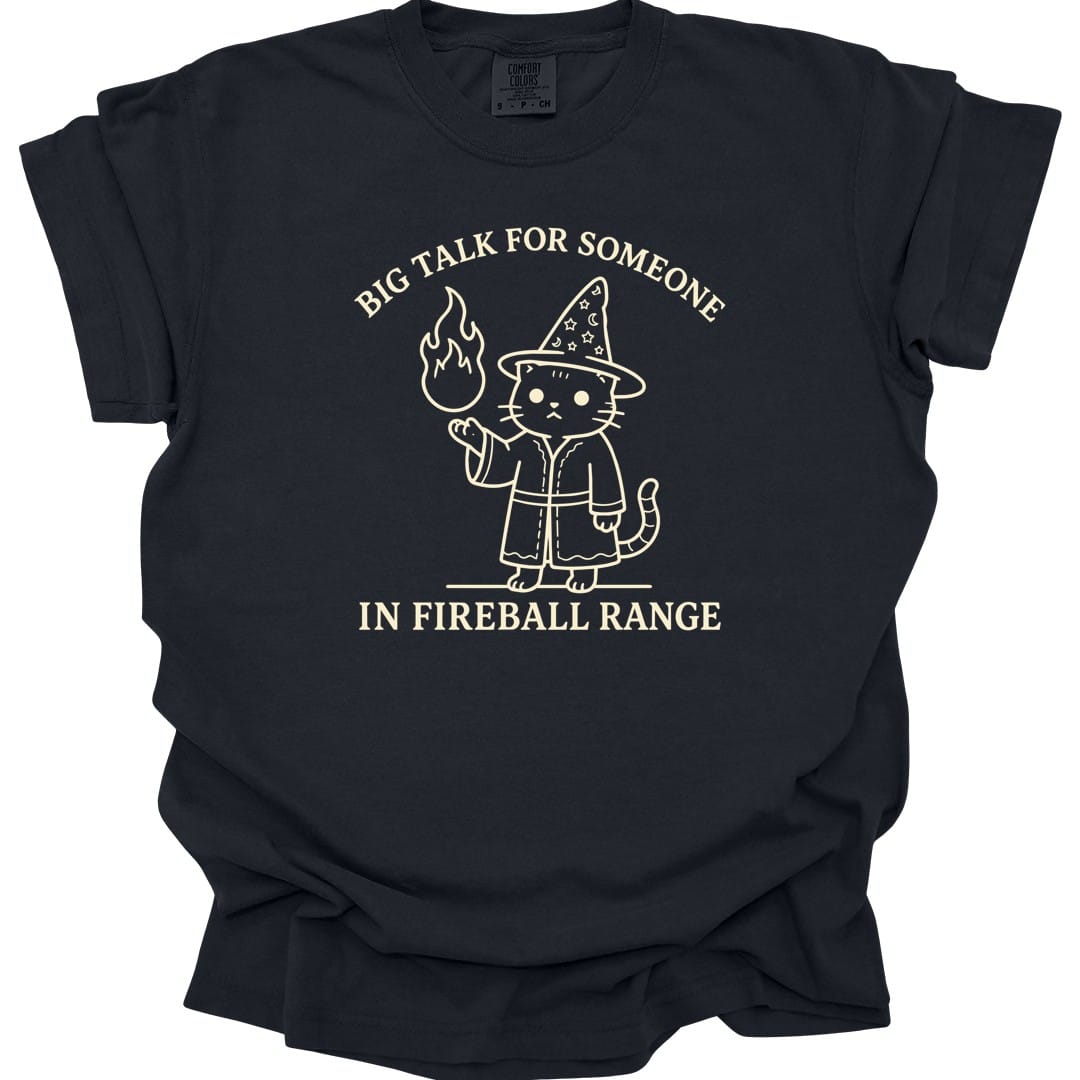 Big Talk for Someone in Fireball Range T-Shirt - Comfort Colors