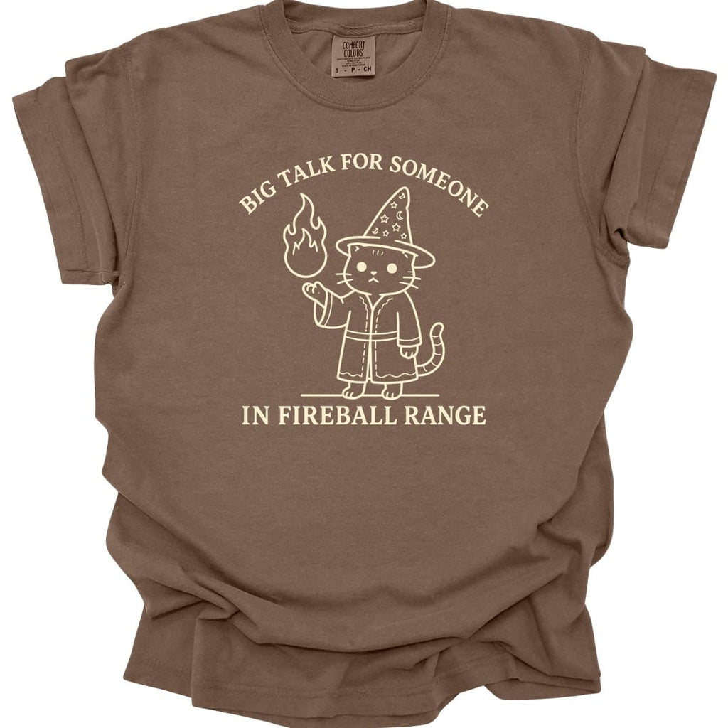 Big Talk for Someone in Fireball Range T-Shirt - Comfort Colors