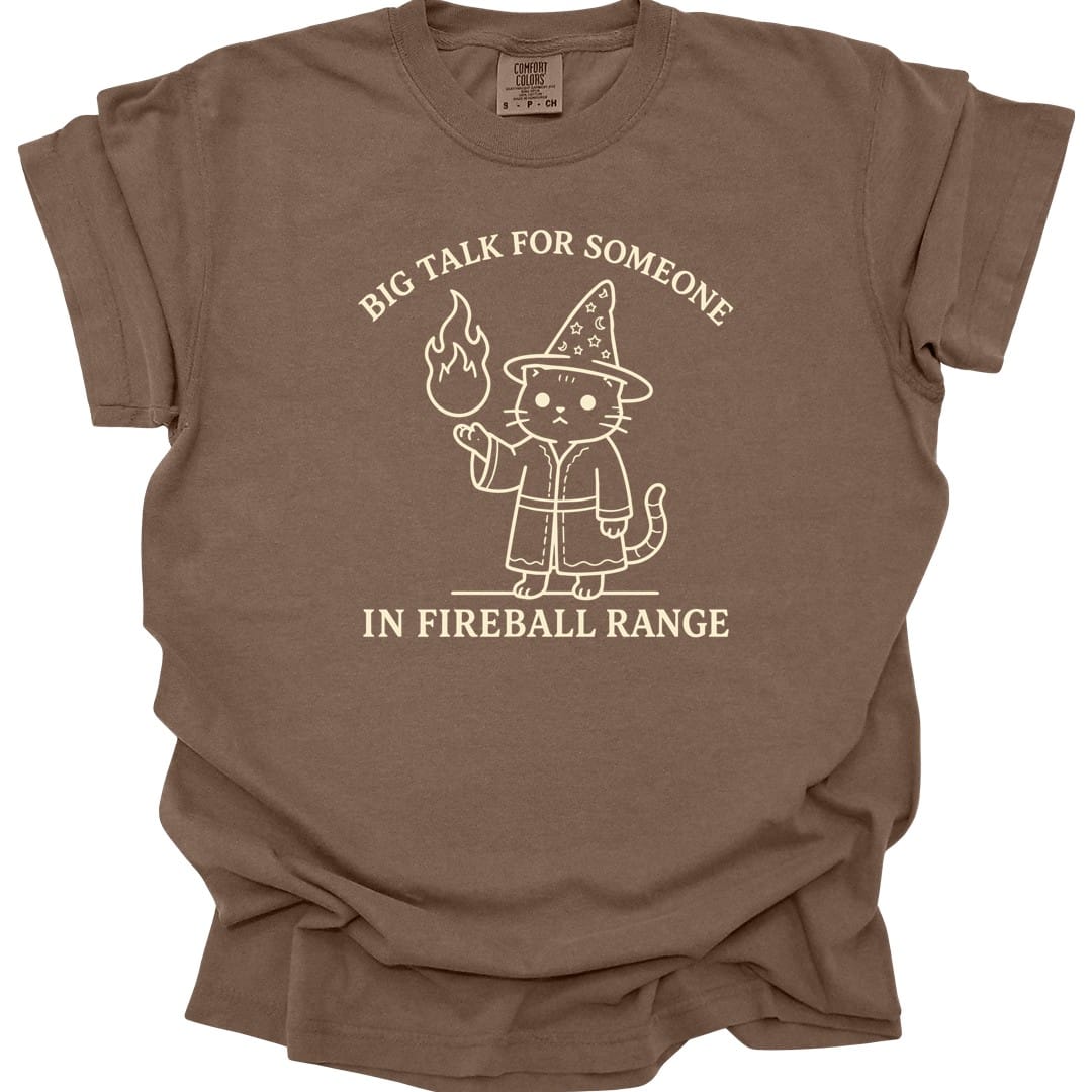 Big Talk for Someone in Fireball Range T-Shirt - Comfort Colors