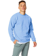 Unisex Ecosmart 5050 crewneck Sweatshirt - cARDINAL - S(D0102H7DFJ6)