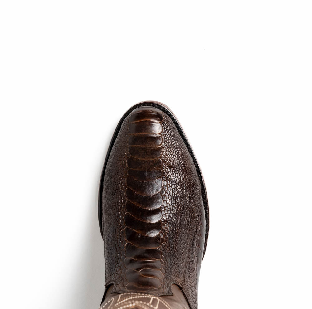 Denver Clear Brown