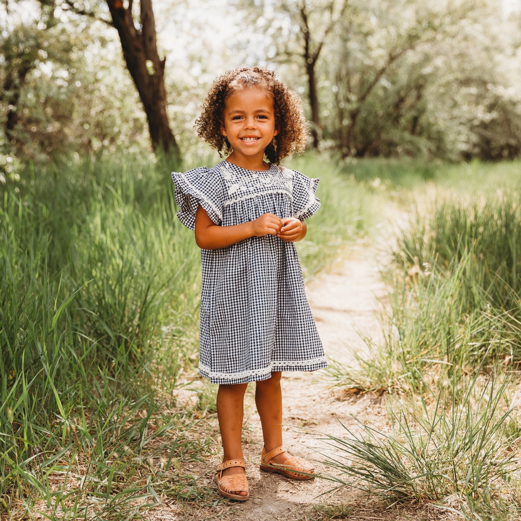 Embroidered Yoke Eith Ruffle Sleeves  Dress