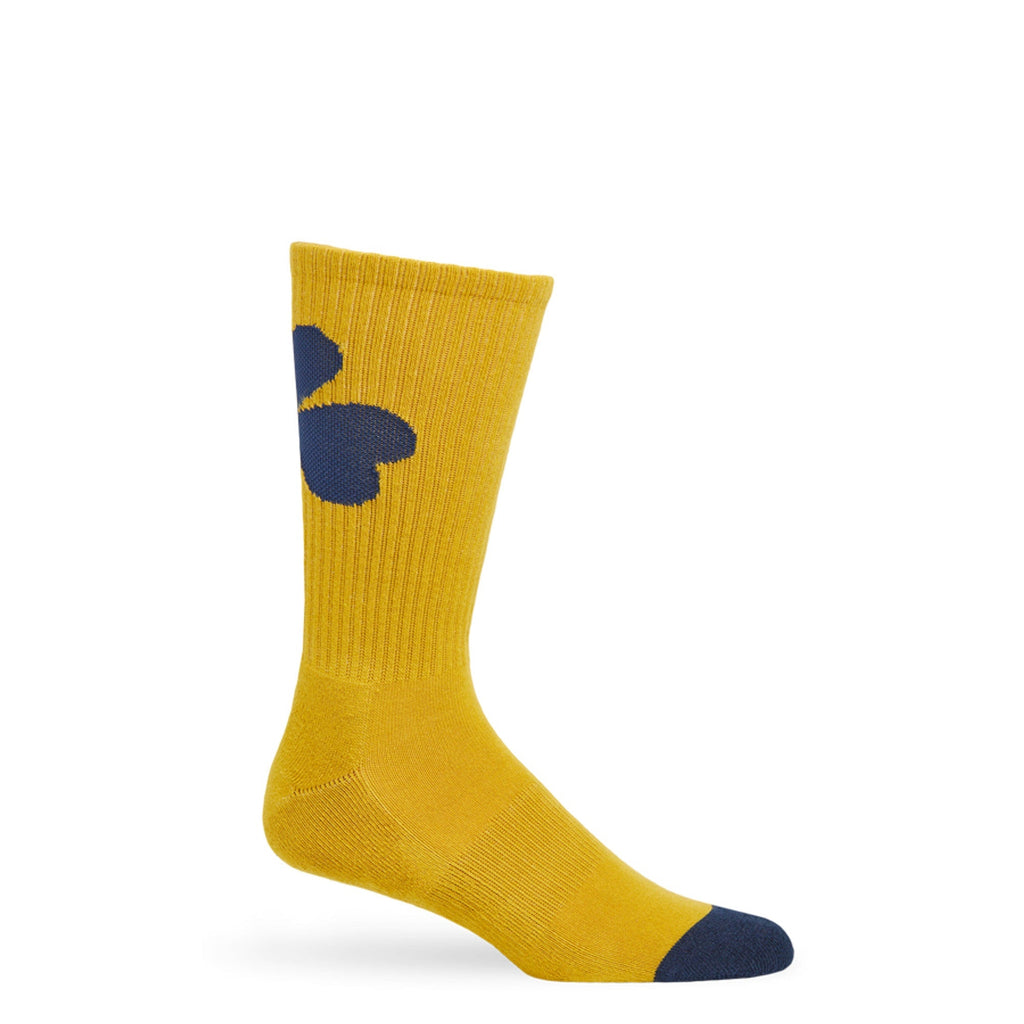 Gold / Navy Clover Casual Socks