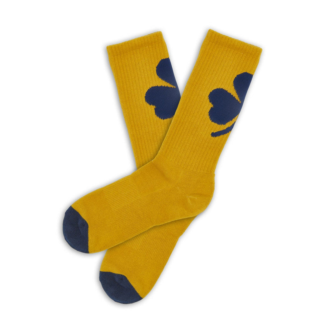 Gold / Navy Clover Casual Socks