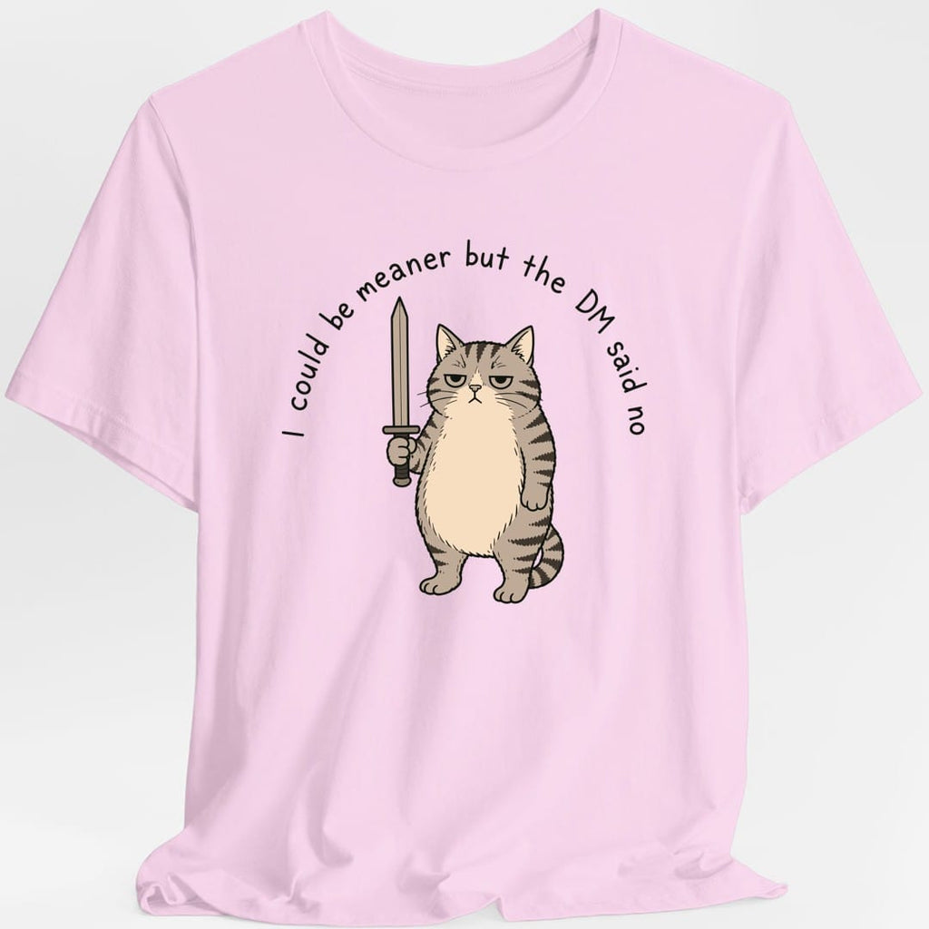 I Could Be Meaner But The DM Said No T-Shirt