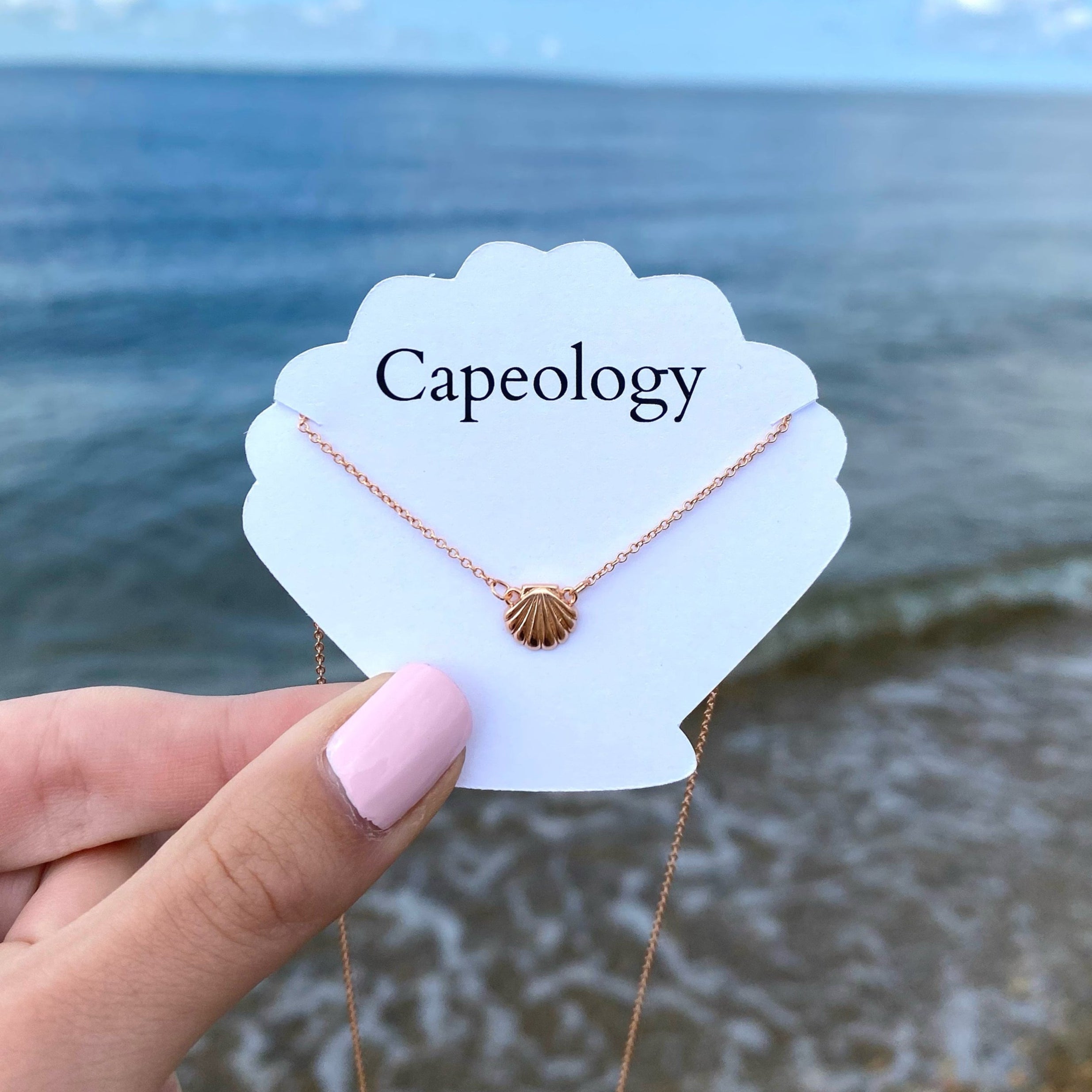 Seashell Necklace