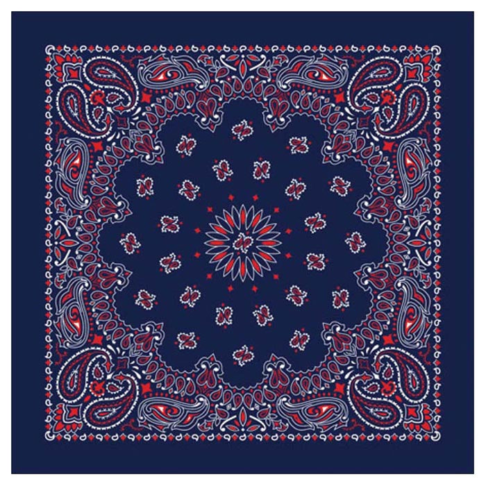 Carolina 516999 Paisley Bandana- Plum