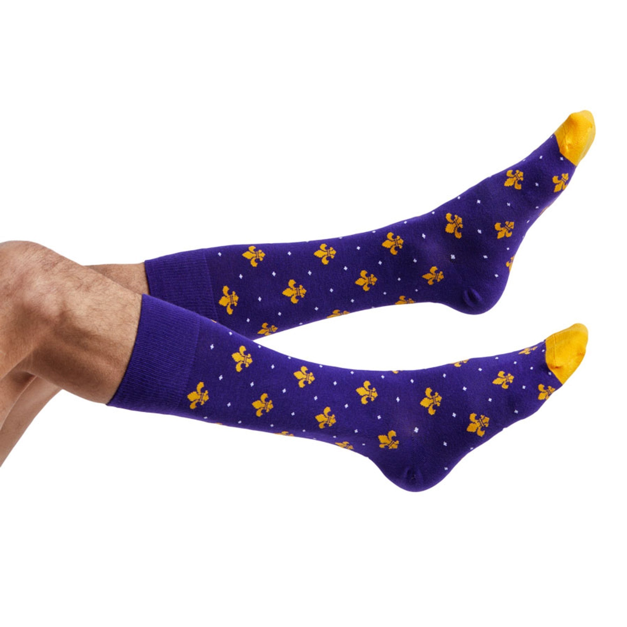 Purple and Gold - Fleur de lis
