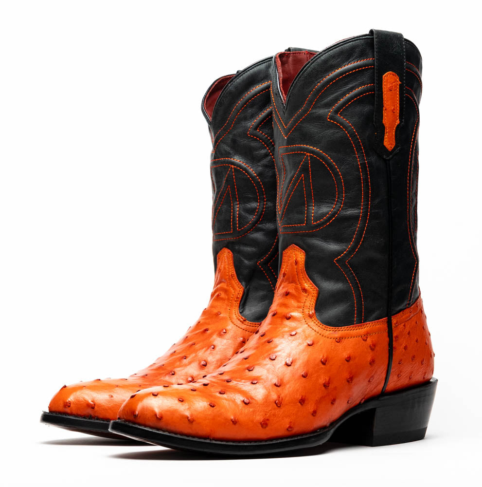 Savannah Orange
